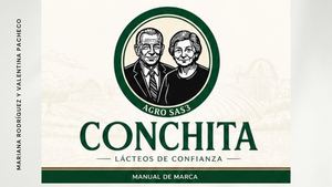 Presentación Manual De Marca Minimalista Gris Y Blanco