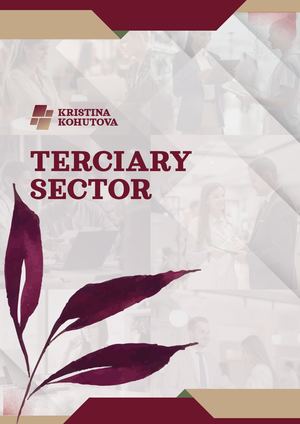 Terciary Sector