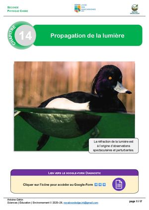 Chapitre 14 2025 26 Prof