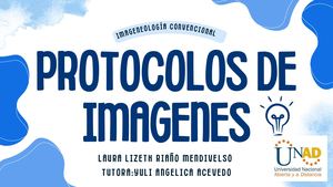 Copia De Presentación Proyecto Trabajo Creativa Organico Azul Compressed