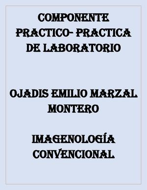 Imageneología