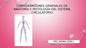 Sistema Cardiovascular
