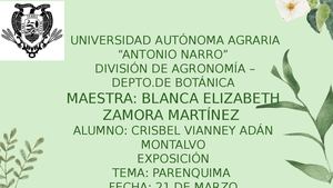 Parenquima Crisbel Vianney Adan Montalvo