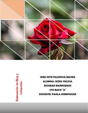 Elaboración De Blog Y Netiquetas