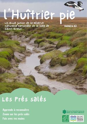 Huitrier Pie 63