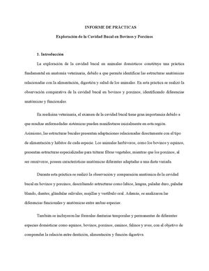 Informe Cavidad Bucal Veterinaria