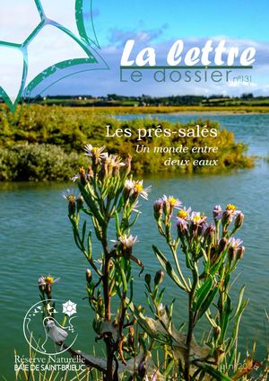 Lettre131