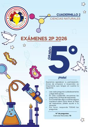Quinto D2
