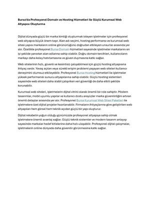 Bursa’da Profesyonel Domain Ve Hosting Hizmetleri Ile Güçlü Kurumsal Web Altyapısı Oluşturma
