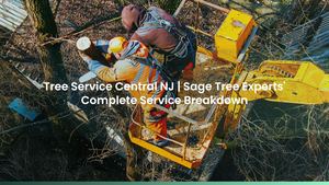 Tree Service Central NJ | Sage Tree Experts' Complete Service Breakdown