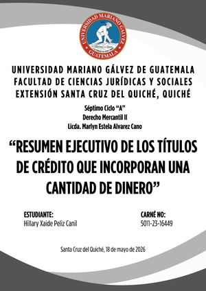 Resumen Ejecutivo Hillary Peliz Mercantil