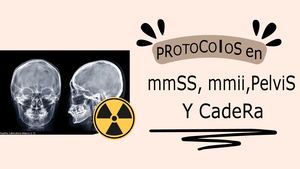 Protocolos En Mmss, Mmii, Pelvis Y Cadera (1)