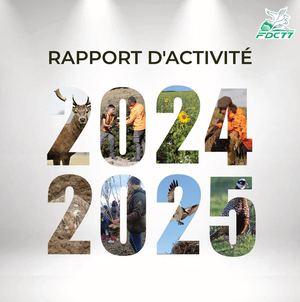 Rapport D'activité