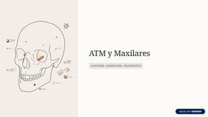 Atm Y Maxilares