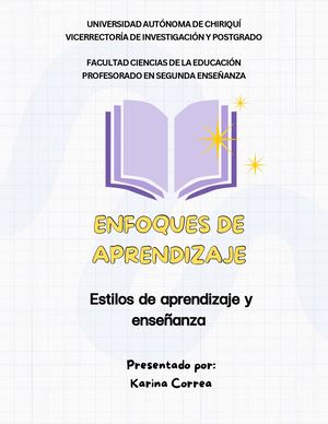 Estilo De Aprendizaje Y Enseñanza Karina C