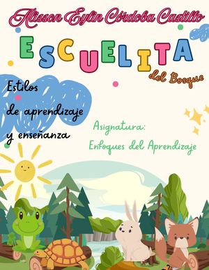 Revista Estilos De Aprendizaje Y Enseñanza Alisson