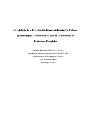 Metodología de la Investigación Interdisciplinaria: Un Enfoque Epistemológico y Procedimental para la Comprensión de Fenómenos Complejos