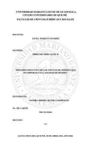 RESUMEN EJECUTIVO