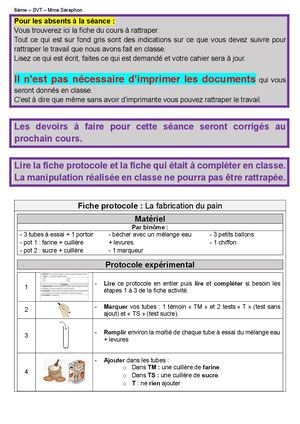 6 Ch6 A2 Cours Tp (Fabriquer Du Pain)