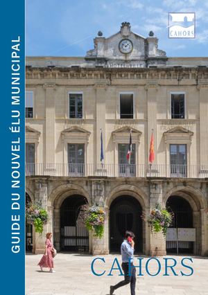 Guide Du Nouvel éLumunicipal