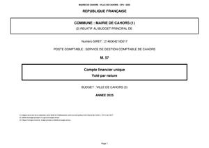 Cfu 2025 Budget Ville Avec Annexes