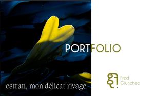 Portfolio Estran 2026
