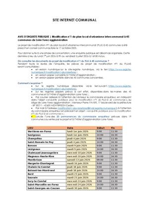 Article Site Internet (Facultatif)