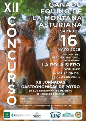 Revista Equinos 26