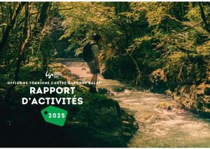 Rapport d'activité 2025