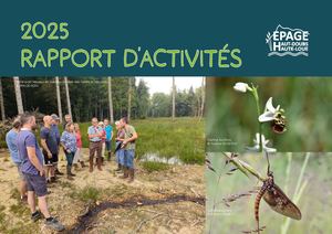 Rapport Activités 2025