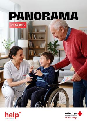 Rapport d'activité Panorama 2025