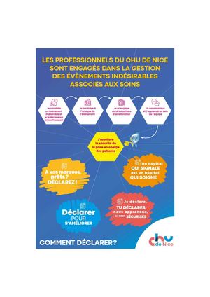 Flyer Ei