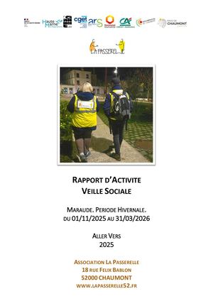 Rapport D'activité - Veille Sociale - 2025