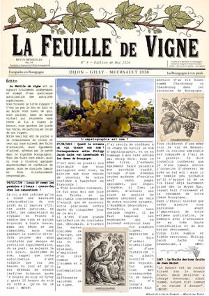 Feuille De Vigne Numéro 09 20260510