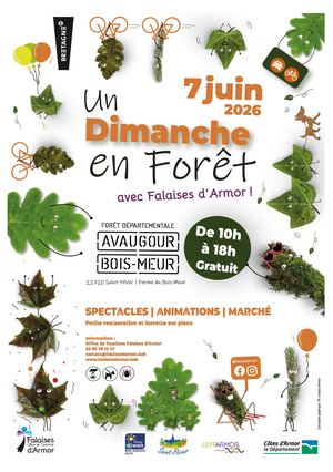 Un Dimanche En Foret