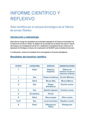 Informe Científico Y Reflexivo
