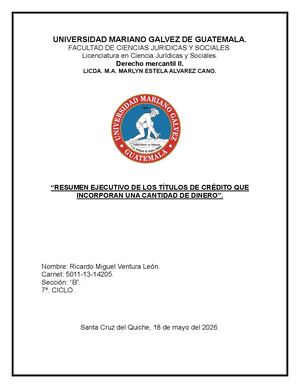 Ricardo Ventura Resumen Ejecutivo De Los Títulos De Crédito