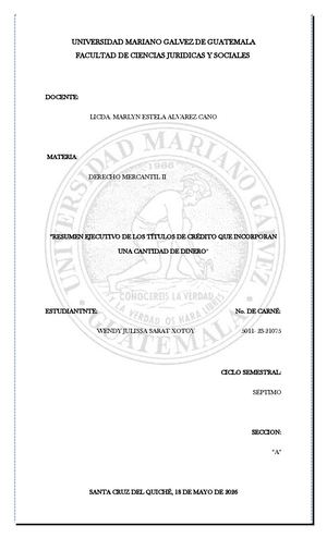Resumen Ejecutivo De Los Titulos De Credito Que Incorporan Una Cantidad De Dinero