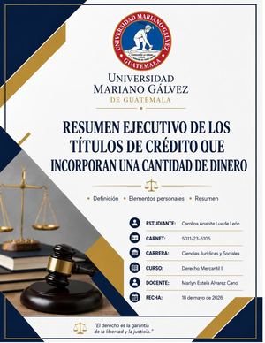 Esumen Ejecutivo De Los Títulos De Crédito