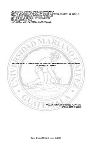 Resumen Ejecutivo De Los Titulos De Credito Que Incorporan Una Cantidad De Dinero