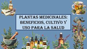 Libro De Las Plantas Mediciales