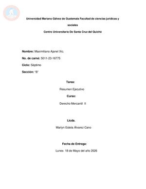Mercantil Ii Resumen Ejecutivo