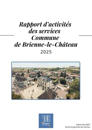 Rapport Activités des services 2025