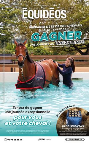 Préparez l'été de vos chevaux !