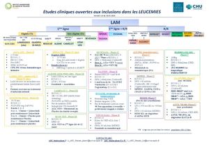CHUTOULOUSE/OCR_Leucemie_05/2026