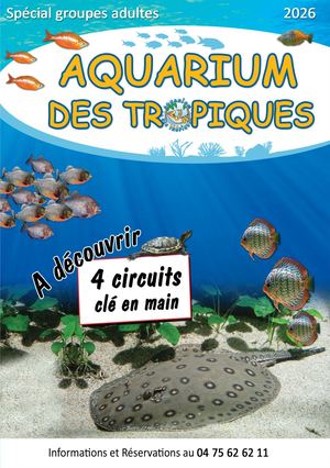 Brochure Groupe