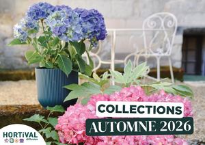 Catalogue GEN Collections - 2026