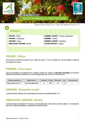 Bulletin Arboriculture N°18 Du 19 Mai 2026