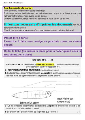 5 Ch7 A2 Tp Cours (Respiration Insectes)