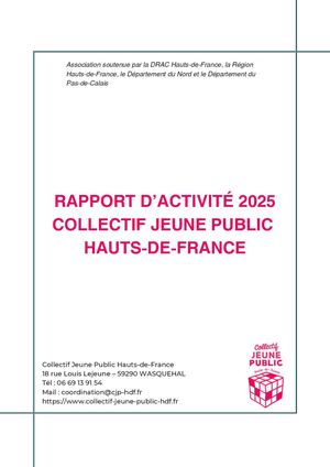 Rapport D'activité Cjp Hdf 2025
